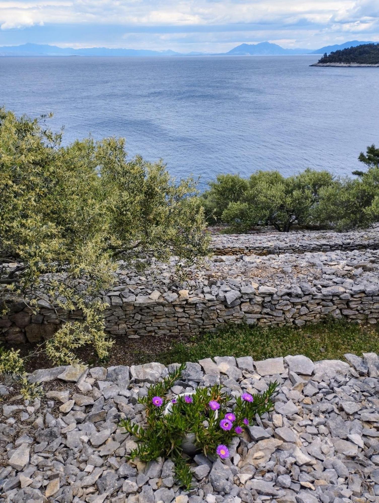 House On Punta Villa Вела Лука Екстериор снимка